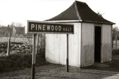 Pinewood Halt Digital Copies Available
