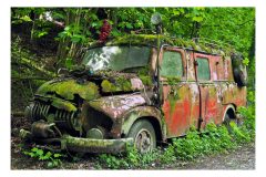 BARN FIND; Camper Digital Copies Available