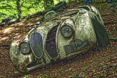 BARN FIND; Jaguar Digital Copies Available