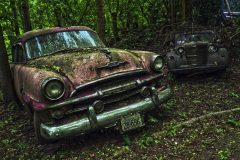 BARN FIND;  Digital Copies Available