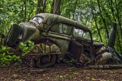 BARN FIND; Digital Copies Available