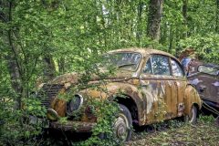 BARN FIND; Digital Copies Available