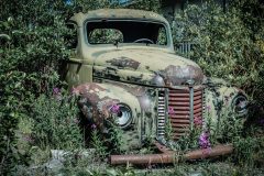 BARN FIND; Car Digital Copies Available