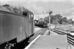 Gunnislake Locos; 41214 and 41295 Date;  7th August 1962  Digital Copies Available