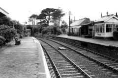 ROCHE c1950s Digital Copies Available