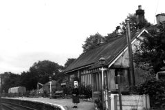 Braithwaite 1961 Digital Copies Available