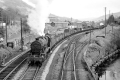TEBAY-48450-Tebay