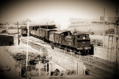 Bere Alston Loco; 203 Date; 23-5-35 Digital Copies Available