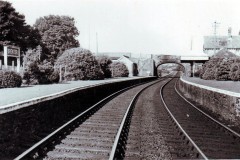 Brentor Station, c1960 Digital Copies Available