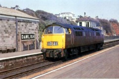 Dawlish. Loco; D1025" Western Guardsman", Digital Copies Available