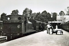 Sidmouth c1920 Digital Copies Available