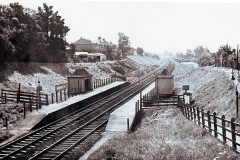 Radipole Halt, Weymouth Date; 22.8.1964  Digital Copies Available