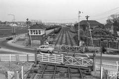 WAREHAM 1974 Digital Copies Available 