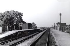 EBLEY CROSSING HALT c1960  Digital Copies Available