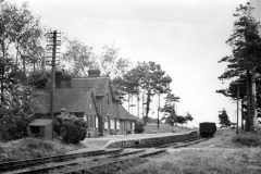 Ashey, Isle of Wight c1950 Digital Copies Available