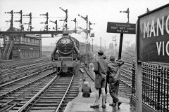MANCHESTER VICTORIA TRAIN SPOTTERS 1955 Digital Copies Available