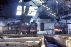 Locos; 65855, 65811 and 65879 North East Rail Yard. c1960 Digital Copies Available