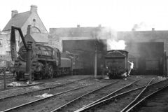 SUNDERLAND SHED 1954 Digital Copies Available